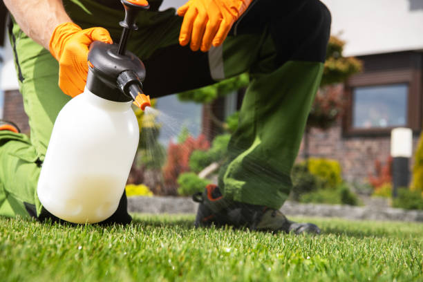 Best Mosquito Control Services  in Arbuckle, CA