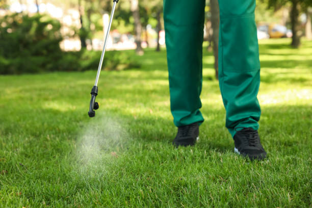 Flea Control Services in Arbuckle, CA