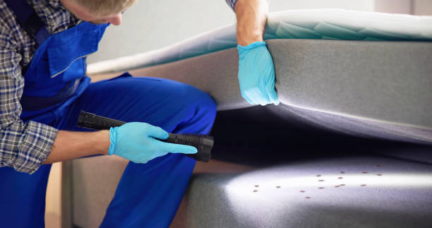 Best Ant Control Services  in Arbuckle, CA