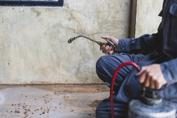 Best Pest Control Near Me in Arbuckle, CA